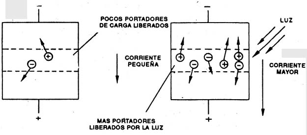 Figura 2
