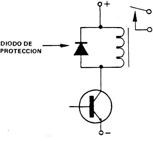 Figura 11
