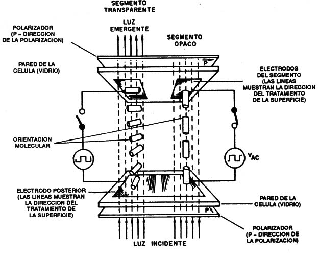 Figura 10 – Un display de cristales líquidos.
Figura 10 – Un display de cristales líquidos.
