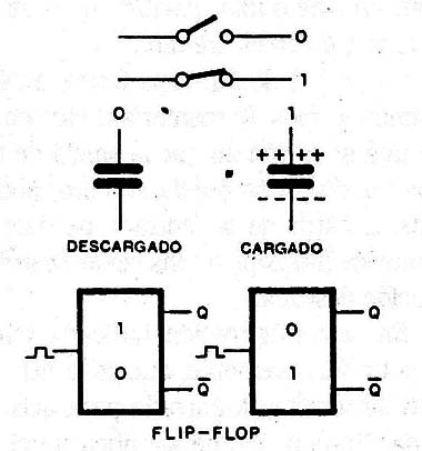 Figura 1
