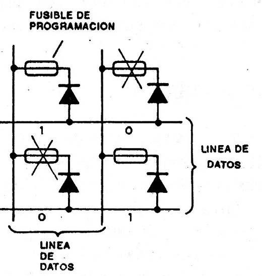 Figura 13
