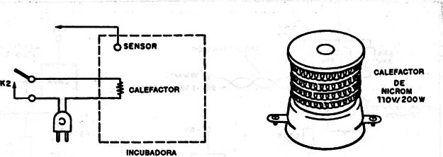 Figura 9
Figura 9