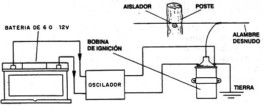 Figura 2
Figura 2