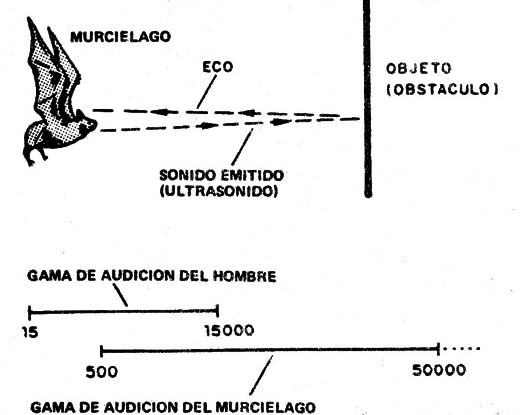  Figura 1
