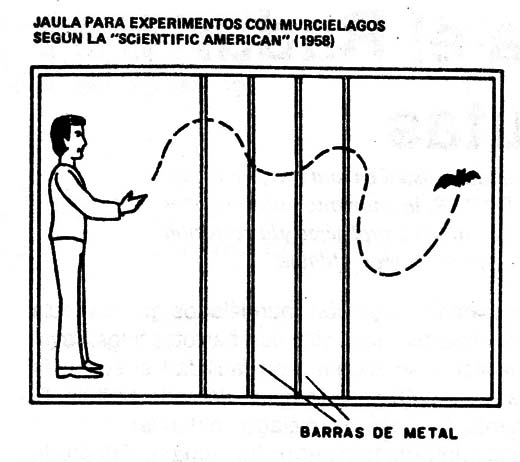 Figura 3
