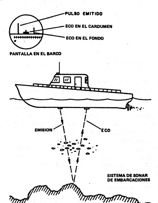 Figura 4
