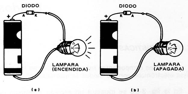 Figura 2 – polarización
Figura 2 – polarización