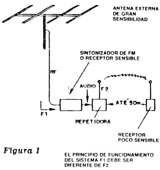 Figura 1
Figura 1
