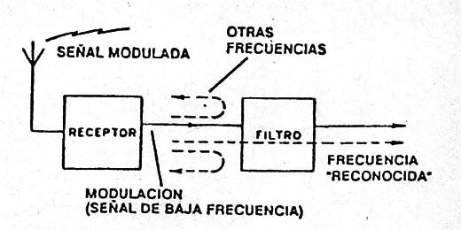 Figura 4
Figura 4