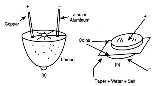 Figure 10 - Cells are an alternative source of energy
Figure 10 - Cells are an alternative source of energy