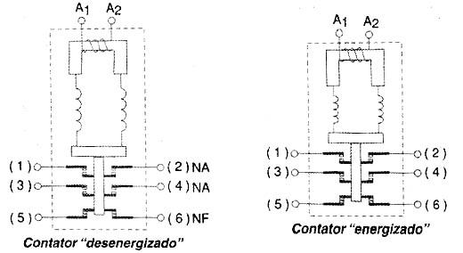 Figura 3
Figura 3