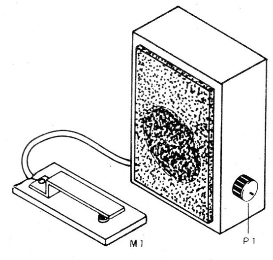 Figura 3 - Sugerencia de caja para el montaje
Figura 3 - Sugerencia de caja para el montaje