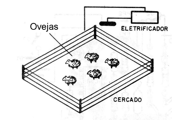 Figura 1 - Uso del aparato en un pasto
Figura 1 - Uso del aparato en un pasto