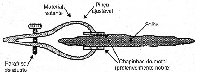 Figura 14 - Sensor de planta
Figura 14 - Sensor de planta