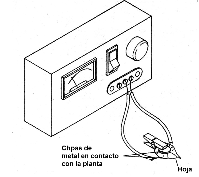 Figura 3 - Detectando actividad eléctrica de plantas
Figura 3 - Detectando actividad eléctrica de plantas