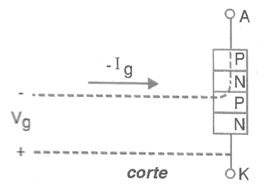 Figura 2
Figura 2