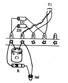 Figura 11
Figura 11
