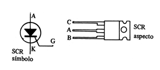 Figura 4
Figura 4