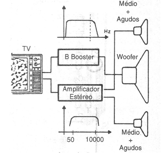 Figura 2 - El sistema y las curvas de reproducción
Figura 2 - El sistema y las curvas de reproducción