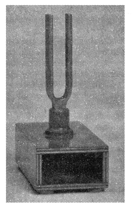 Figura 1 - Un diapasón típico
Figura 1 - Un diapasón típico