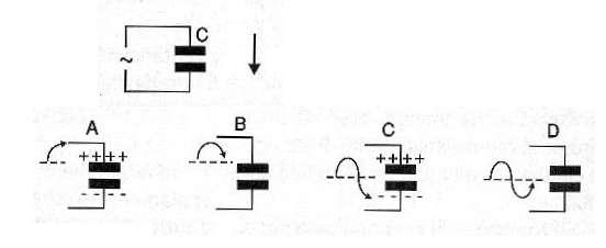 Figura 2
Figura 2