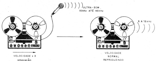 Figura 1 - Grabación de ultrasonidos
Figura 1 - Grabación de ultrasonidos