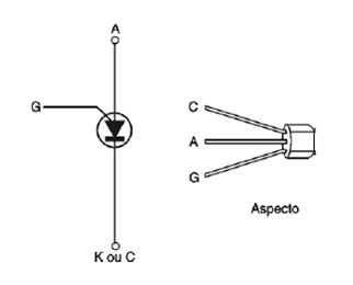 Figura 7 - Símbolo y aspecto del PUT
Figura 7 - Símbolo y aspecto del PUT
