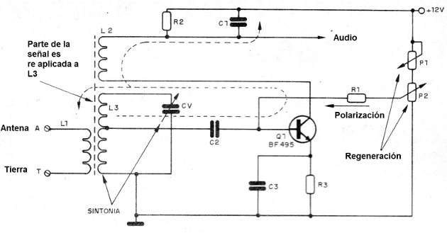    Figura 2 - La etapa regenerativa del receptor
