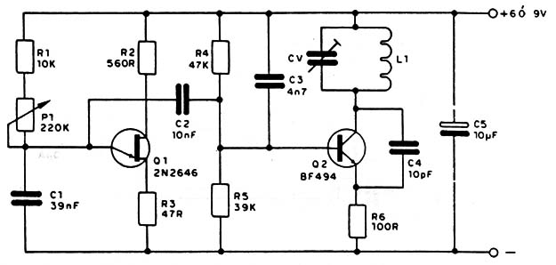 CIR317
