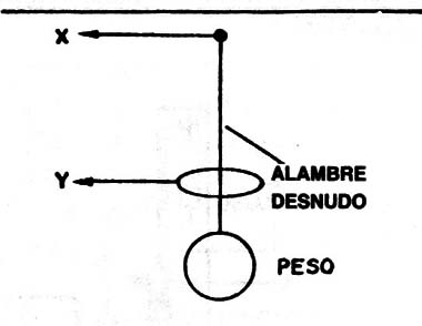 Figura 2
