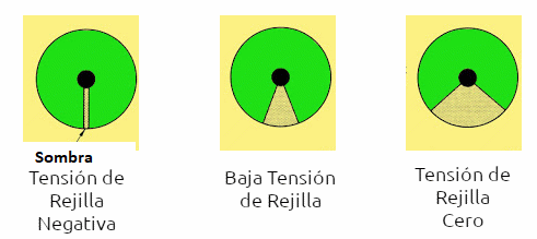 Figura 3 – Los estándares de imagen
