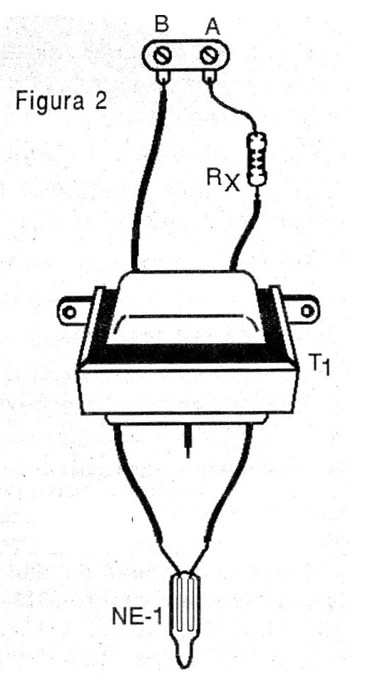    Figura 2 - Aspecto del montaje
